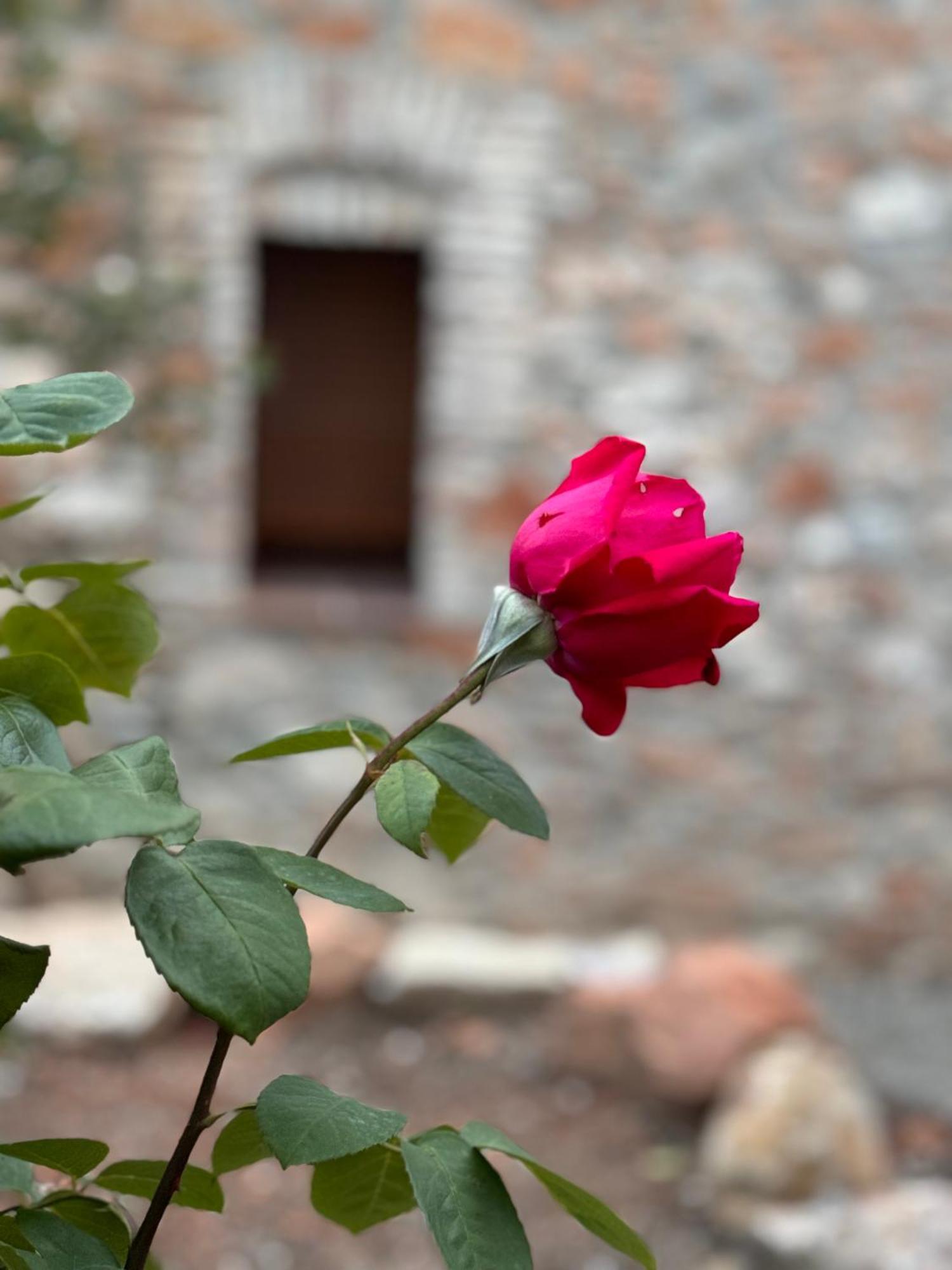 Casa De La Serra モントブランク エクステリア 写真